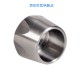 Lanza 750 mm con boquilla de 25/40 inox